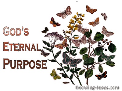 God's Eternal Purpose (devotional)08-15 (white)